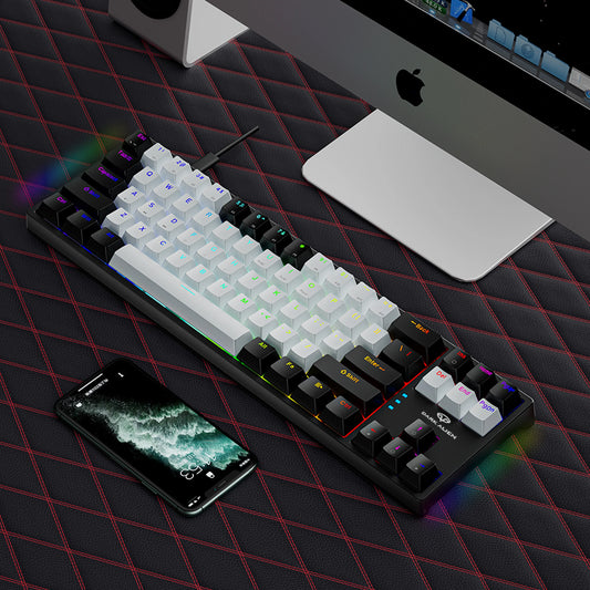 70% Teclado Mecánico Gamer - Compacto con 71 Teclas y RGB Lateral