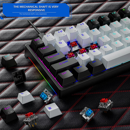 70% Teclado Mecánico Gamer - Compacto con 71 Teclas y RGB Lateral